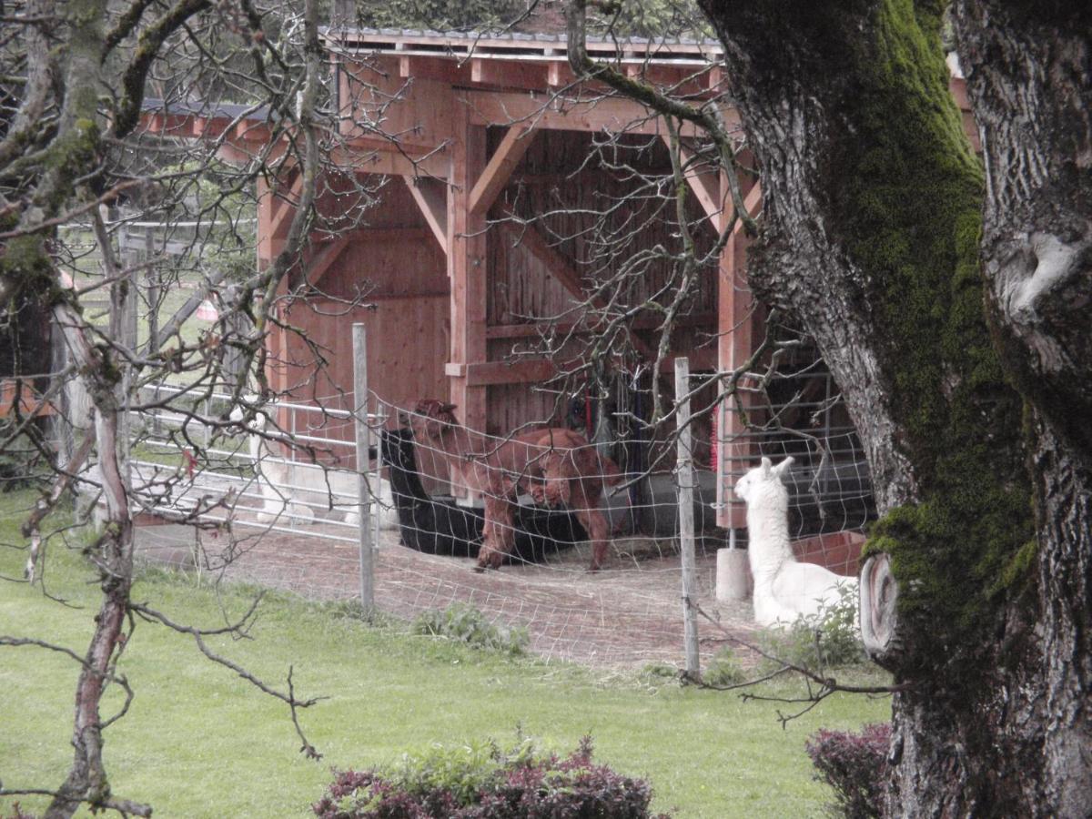 Pension Alpenhaus Vorderstoder Luaran gambar