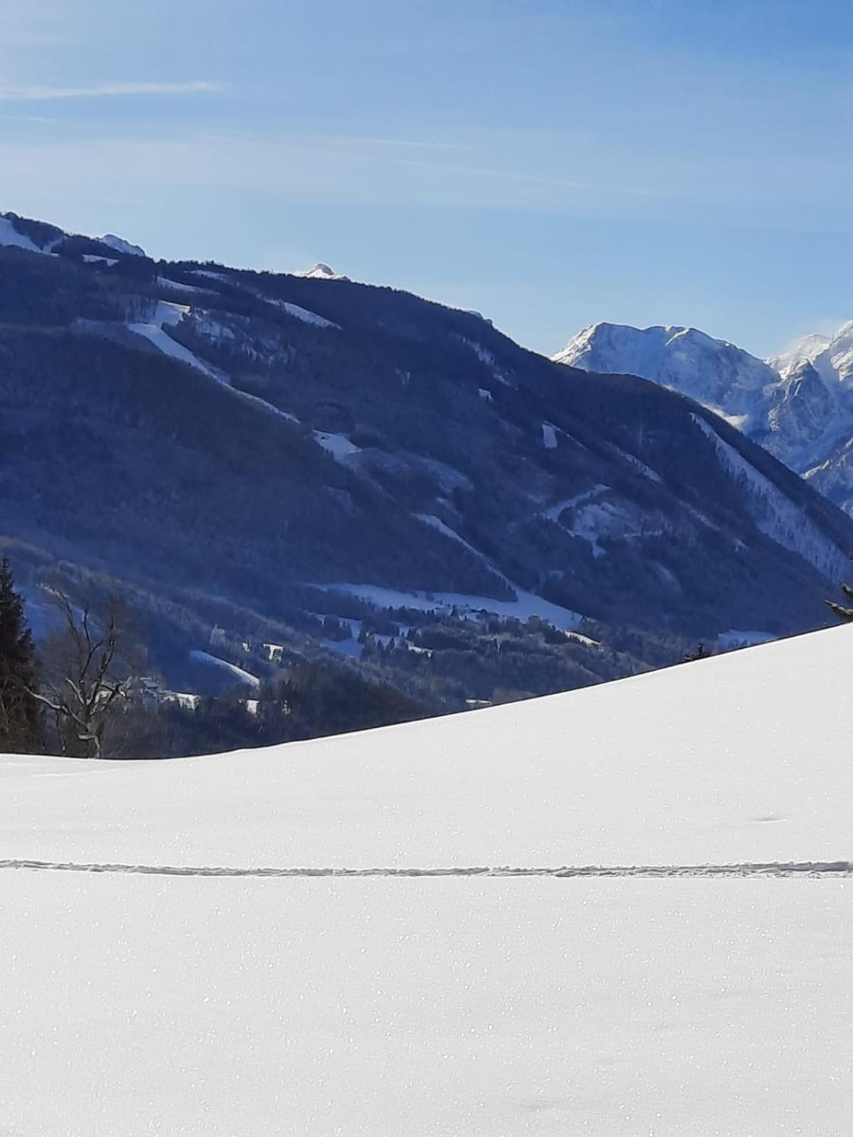 Pension Alpenhaus Vorderstoder Luaran gambar